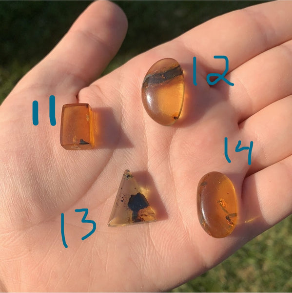 Chiapas/Mexican Amber