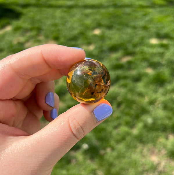 Chiapas/Mexican Amber Spheres