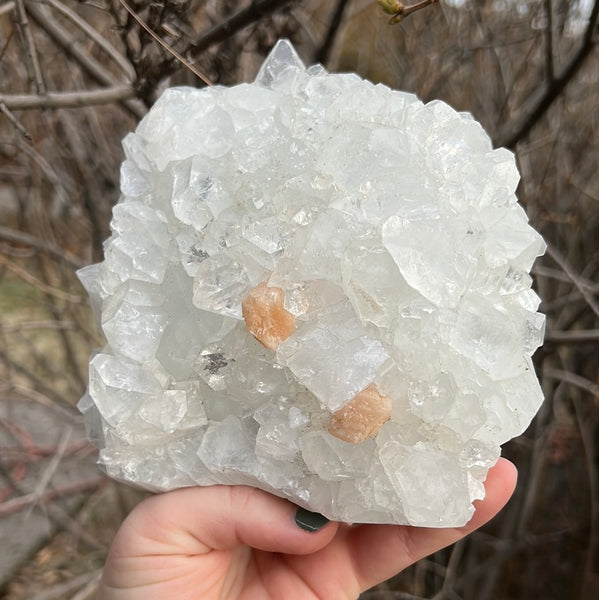 Apophyllite & Stilbite Cluster