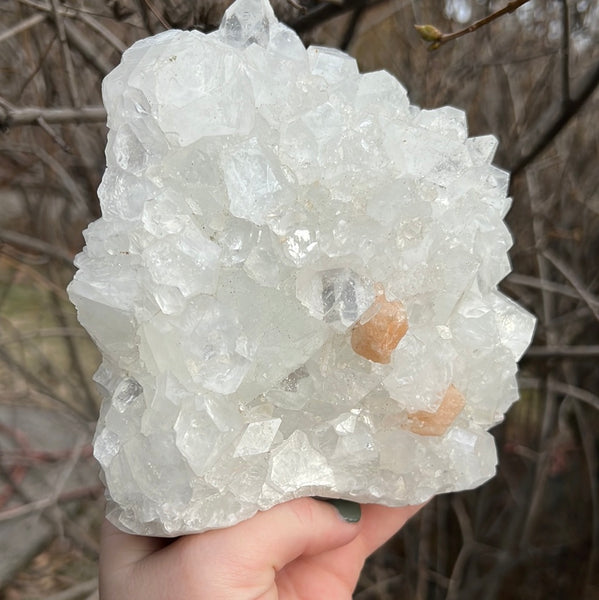 Apophyllite & Stilbite Cluster