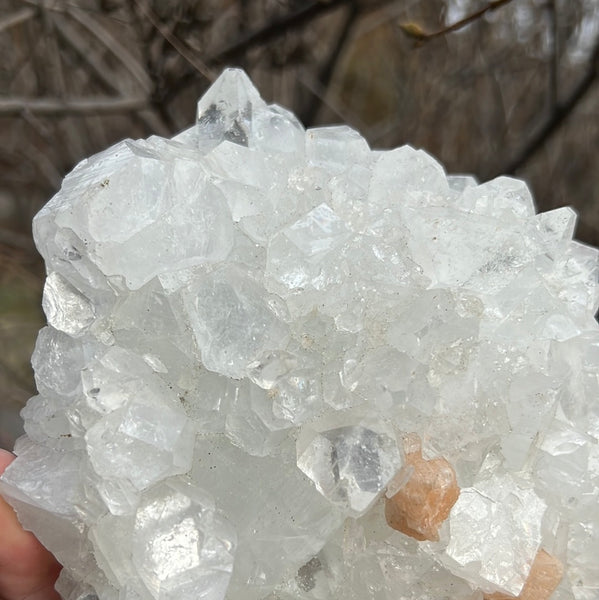 Apophyllite & Stilbite Cluster