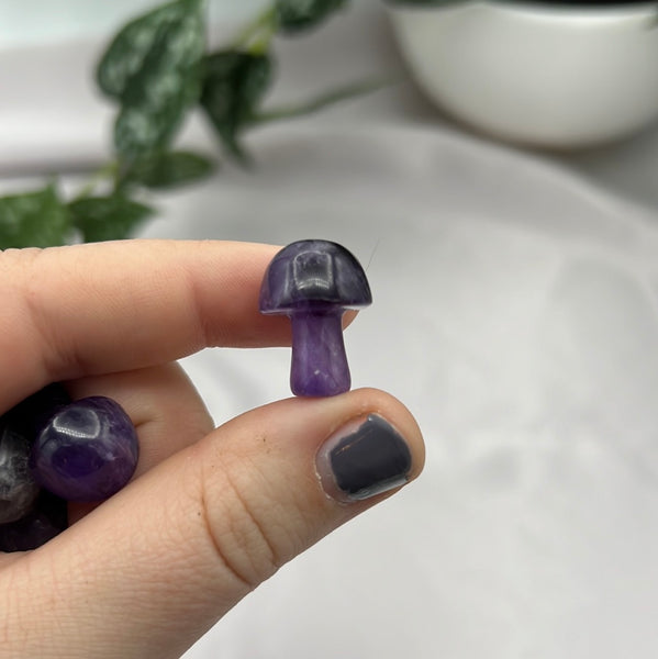 Amethyst Mushroom